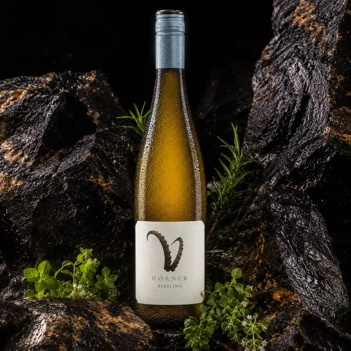Steinbock Riesling - Weingut Hörner